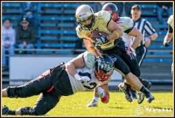 Cougars-Gegner siegen in Testspielen