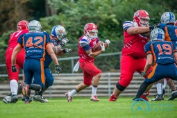 Saisonstart am 5. September? Cougars vor Entscheidung